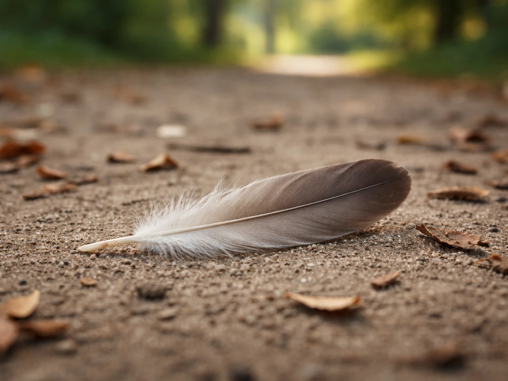 A single found bird feather on dirt with soft outdoor bokeh background, suggesting symbolism and curiosity.