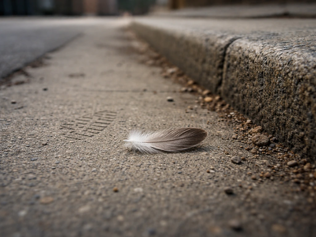 Close-up of a single bird feather on a city sidewalk curb with gritty urban texture and faint shoe prints.