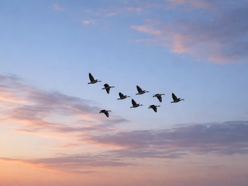 meaning of bird of passage