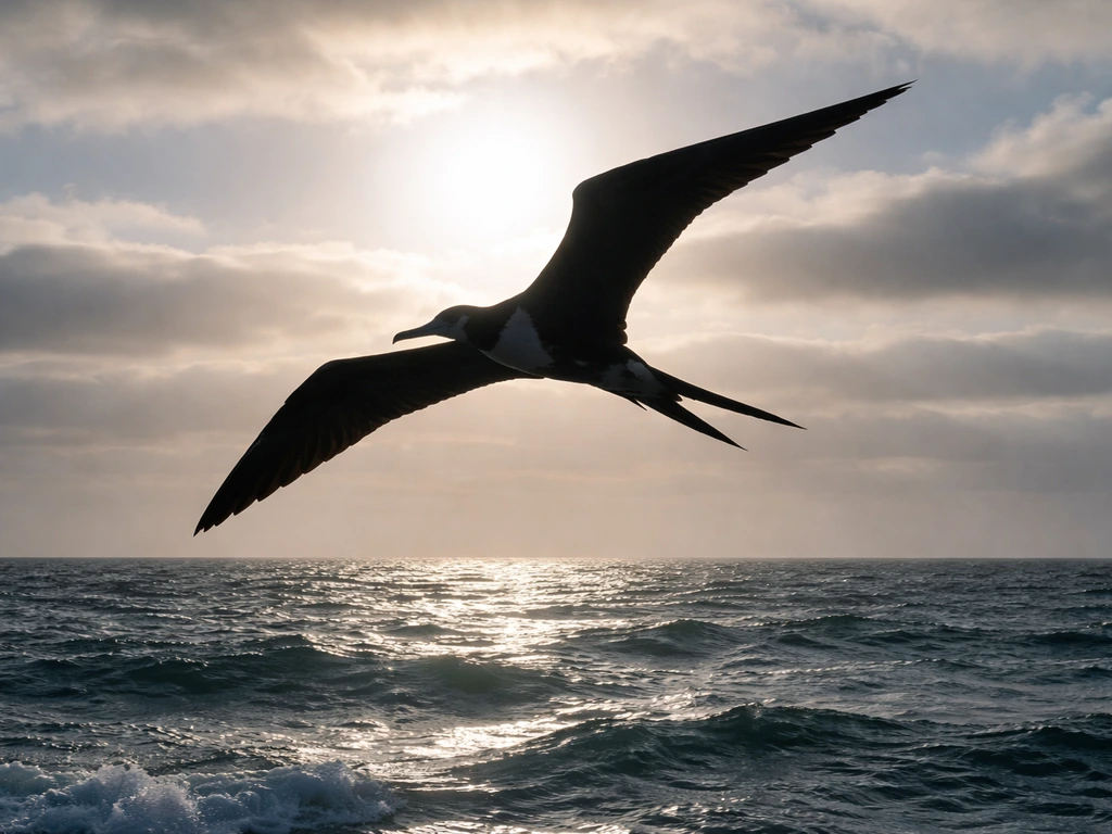 Magnificent frigatebird gliding over dark ocean waves with dramatic silhouette in natural light