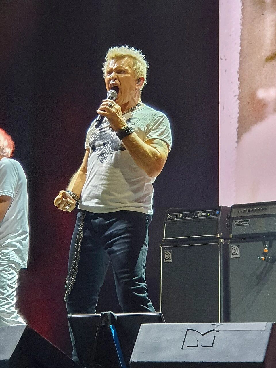 Billy Idol Net Worth Explained: Sources, Income Timeline