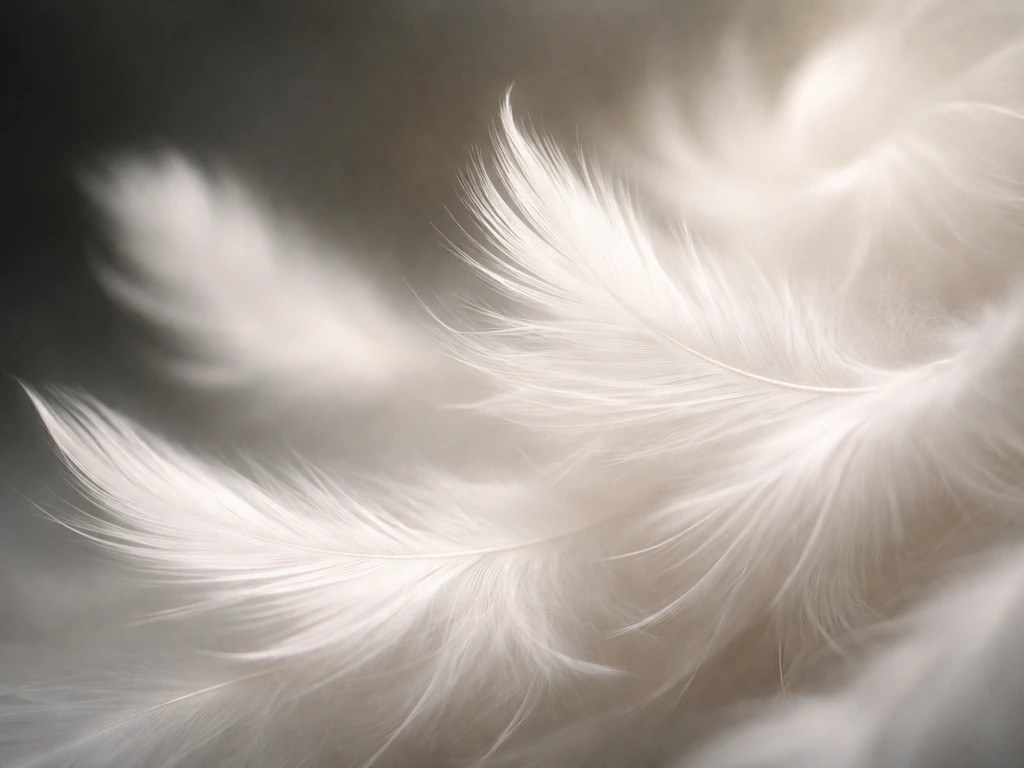 Close-up of white dove feathers with soft light and a subtle sense of hovering flight.