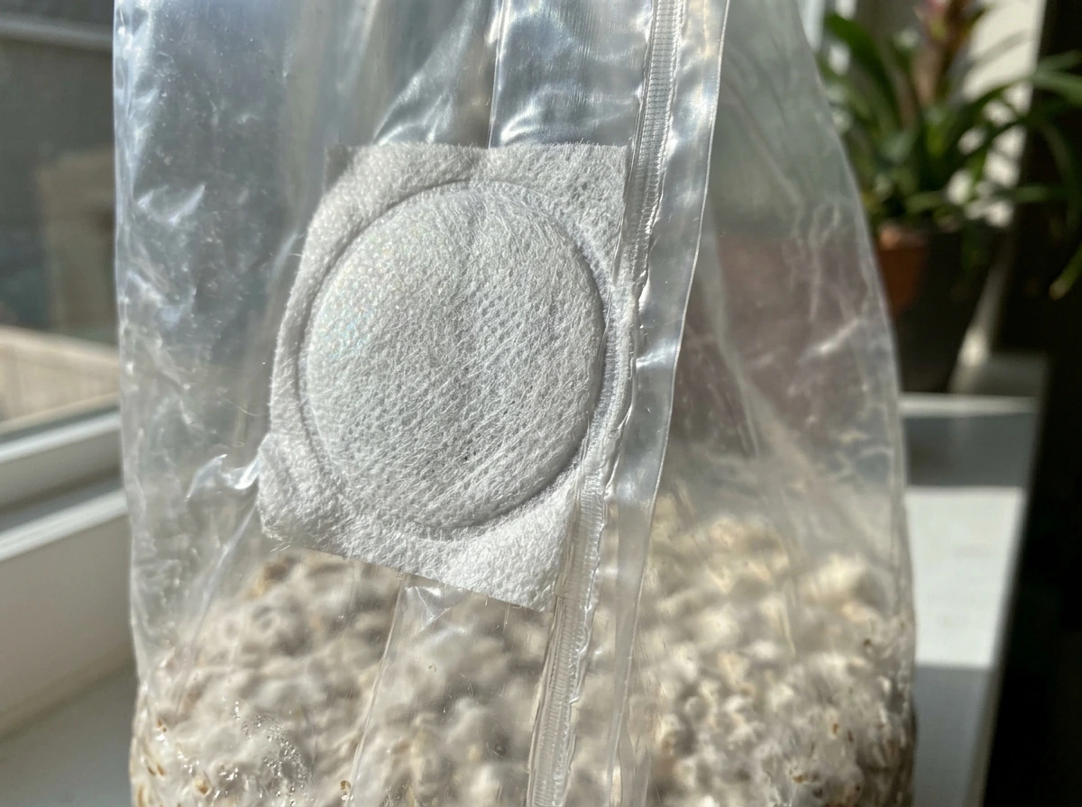 Filter patch on an all-in-one mushroom bag, showing the patch area and micron fabric texture.