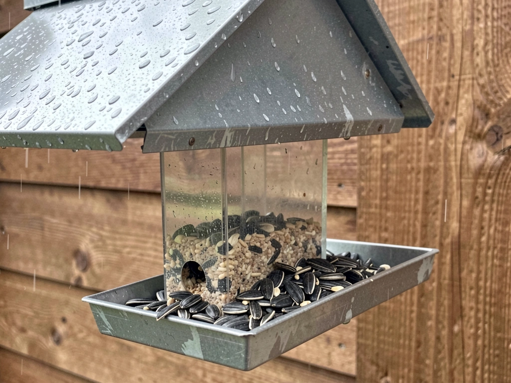 Hopper feeder with roof and draining tray holding black-oil sunflower seed