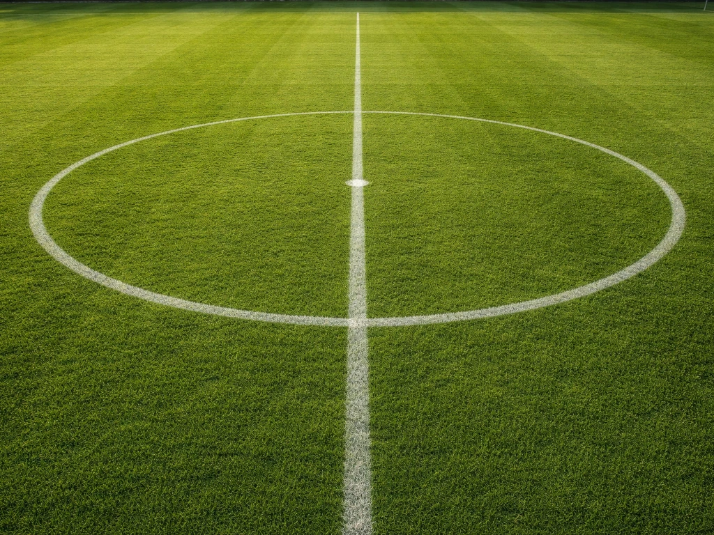 Bovenaanzicht van een bespeelbaar Nederlands sportveld met dicht, egaal groen gras en zichtbare markeringen.