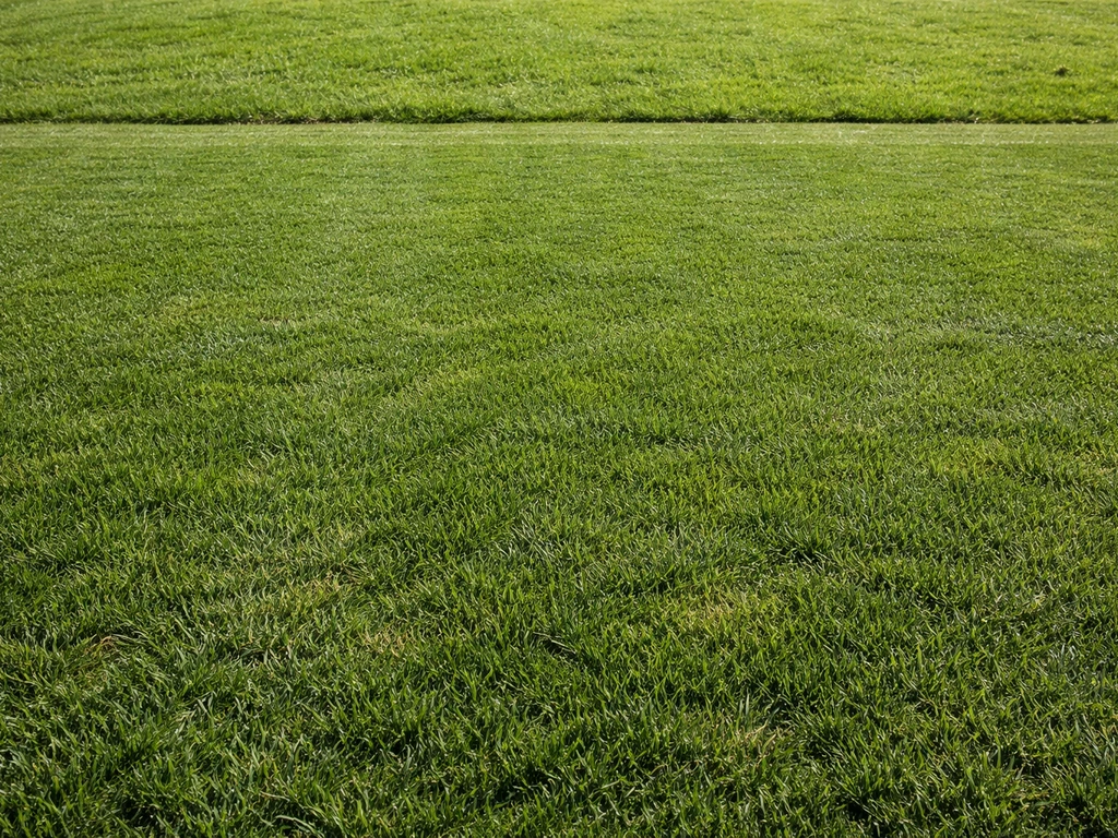 Natuurgras voetbalveld oogt dicht en robuust, naast een minder dicht “gewoon” gazon.