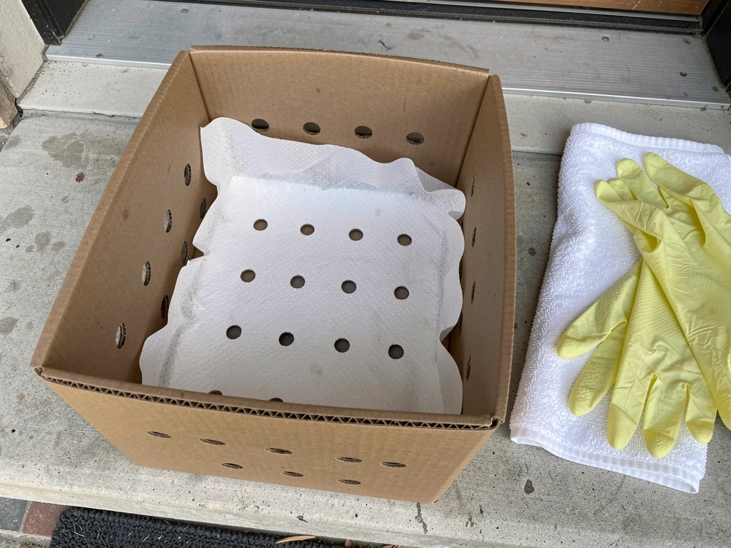 Cardboard air-holed box lined with paper towel prepared for safe transport