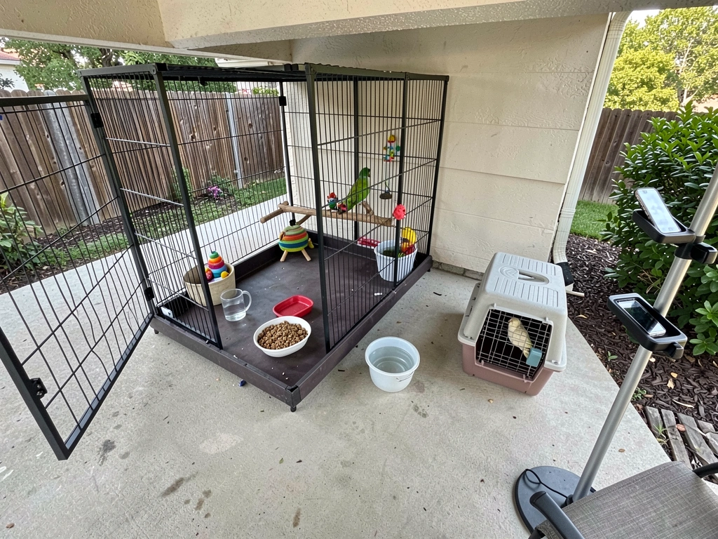 Outdoor recovery spot with open cage, food, water, and companion carrier nearby.