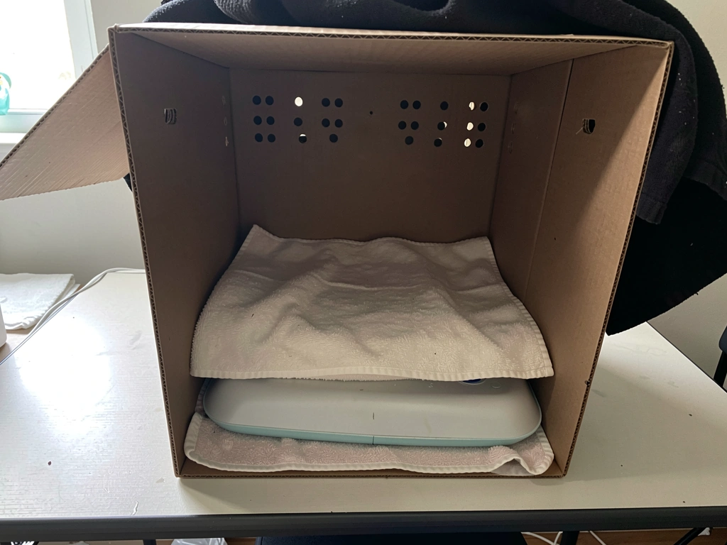 Ventilated cardboard box for temporary wild bird holding with gentle heat on one side