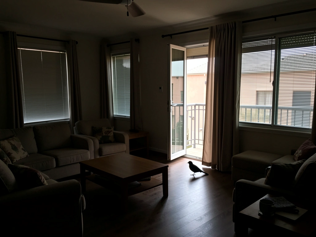 One exit window open with blinds closed on other windows to guide bird out