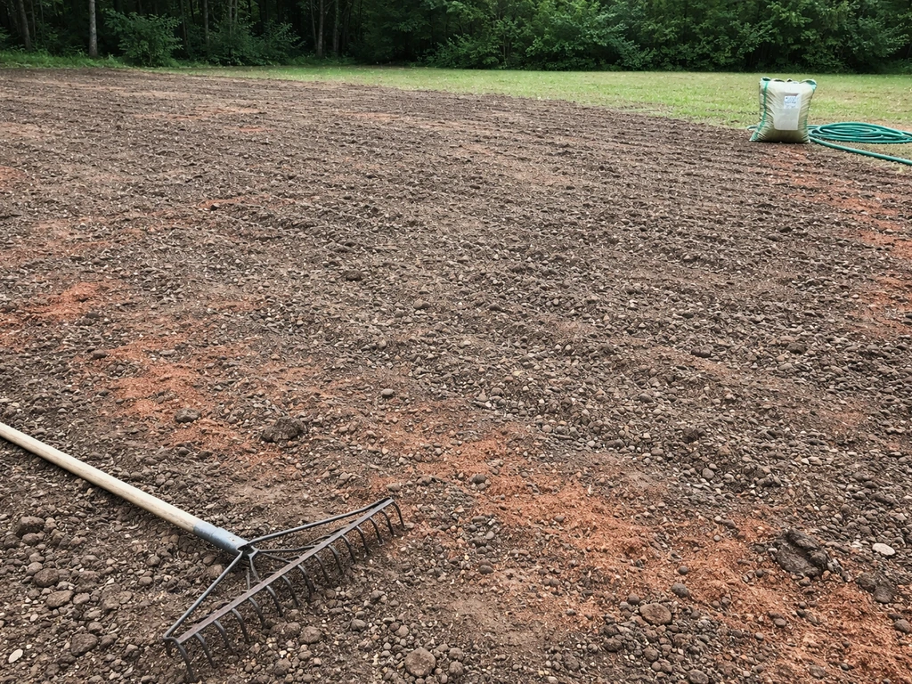 how to grow grass in red clay soil