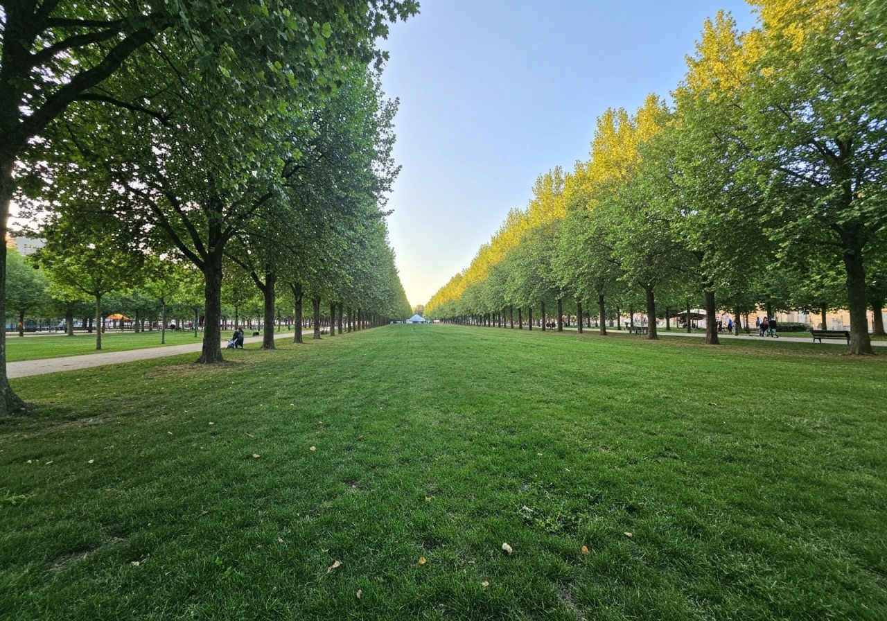 Parc Jouvet à Valence (Drôme) : pelouse verte et allée avec arbres, ambiance paisible pour un festival en plein air.