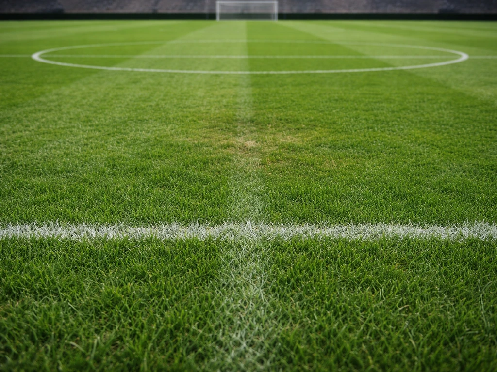 Gazon dense de stade de foot, vue au sol au centre et près des zones de but, herbe bien verte et foulée.