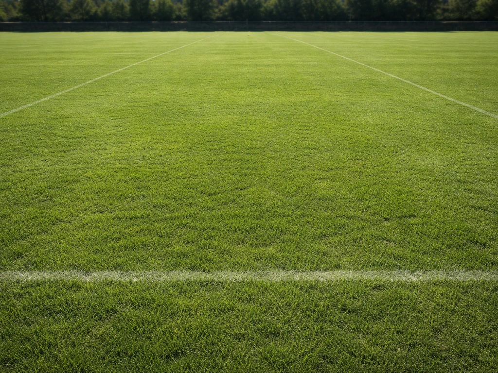 Terrain de sport sur gazon dense et régulier, prêt à jouer, avec marquages discrets et zones bien tenues.