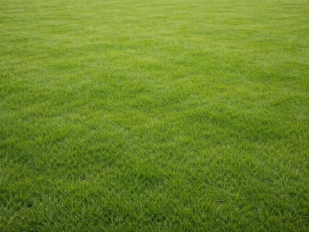 Dicht en egaal groen Nederlands gazon met minimale mos, bijna geen klaver en geen kale plekken.