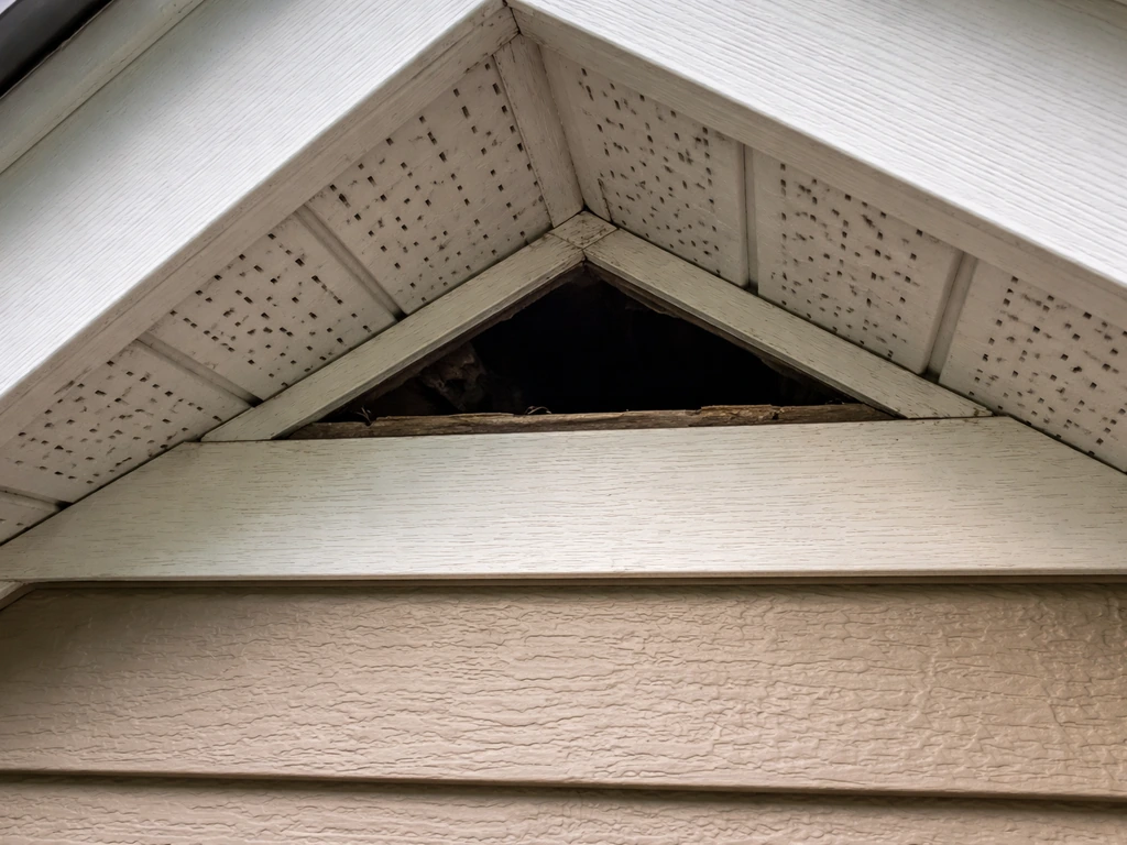 Close-up of an unscreened vent/soffit gap in a building where a bird could enter during storms.