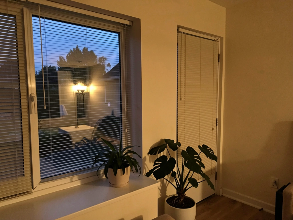 Tempera paint dots on the outside of a reflective window as a temporary deterrent.