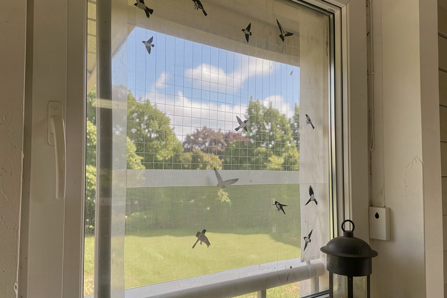 How Do You Stop a Bird From Hitting Your Window