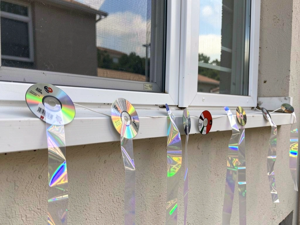 how to stop bird pecking on window