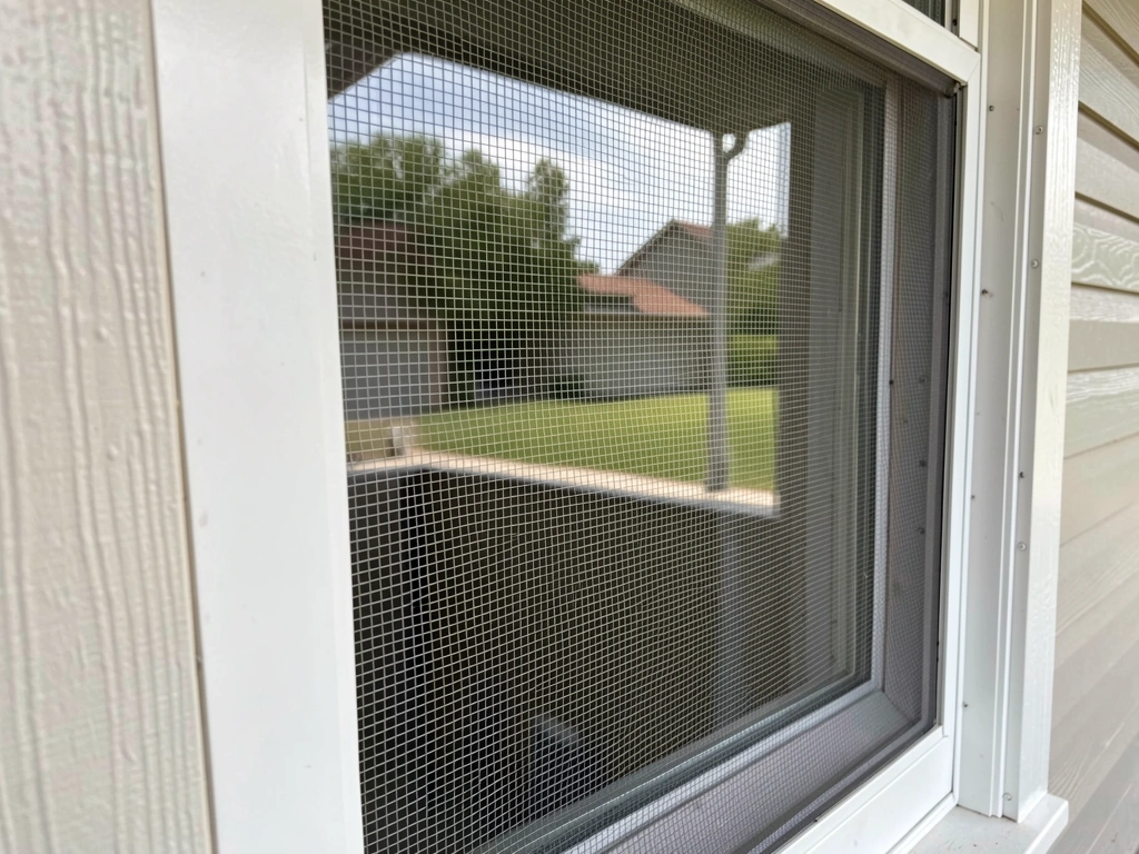 how to stop bird pecking window