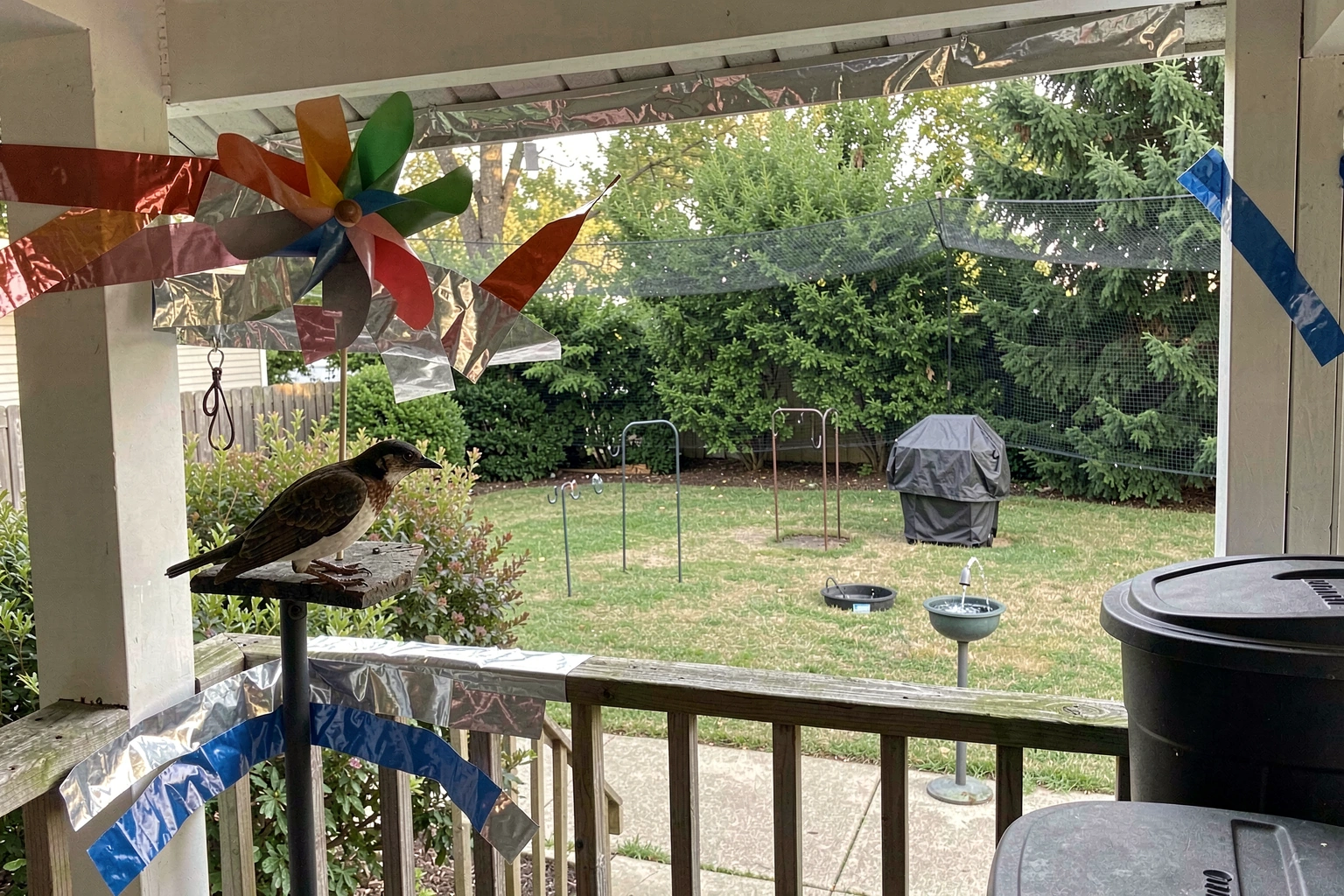 How to Scare Away a Bird: Step-by-Step Deterrent Plan