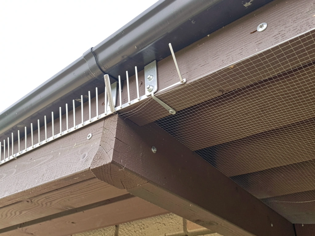 Bird spikes installed along a beam edge, plus sealed netting over an opening to prevent nesting.