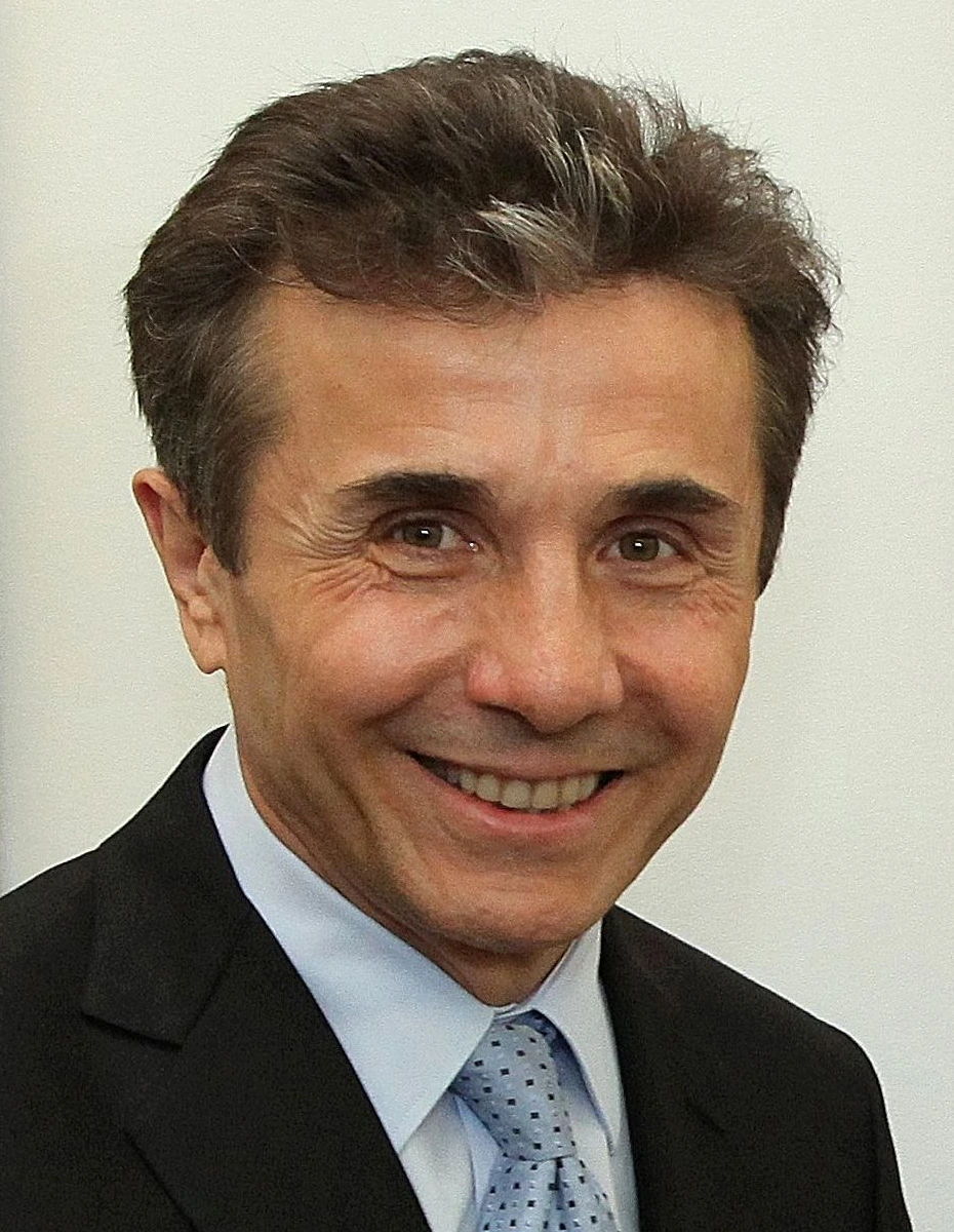 Portrait photo of Bidzina Ivanishvili in a suit and tie, facing the camera