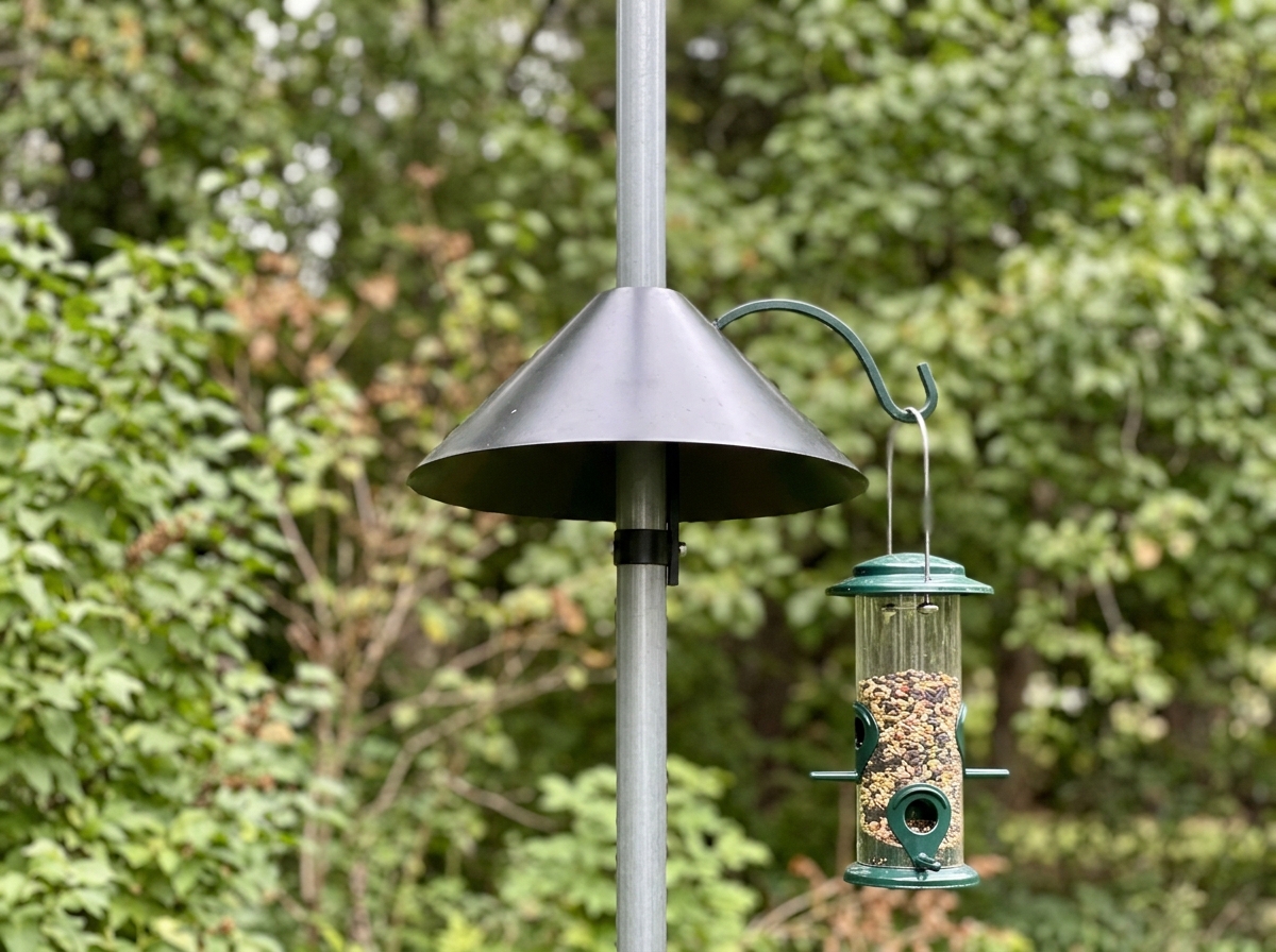 Pole-mounted feeder with an installed baffle blocking raccoon climbing