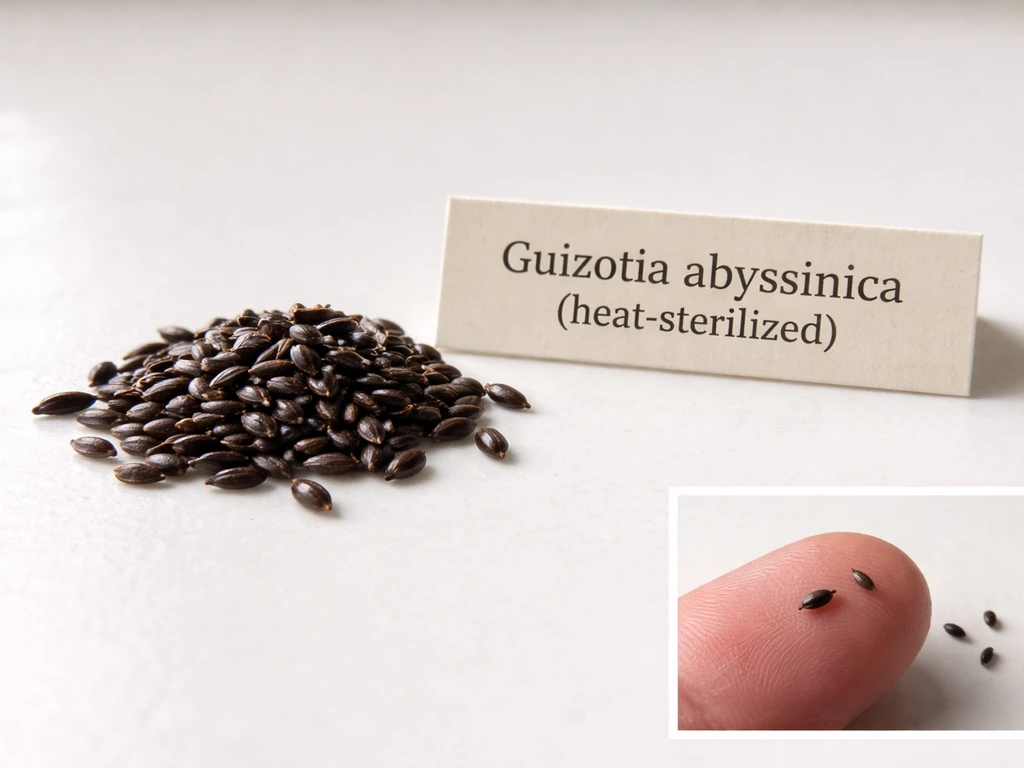 Macro view of nyjer seeds on a white surface with a small explanatory label and size contrast inset.