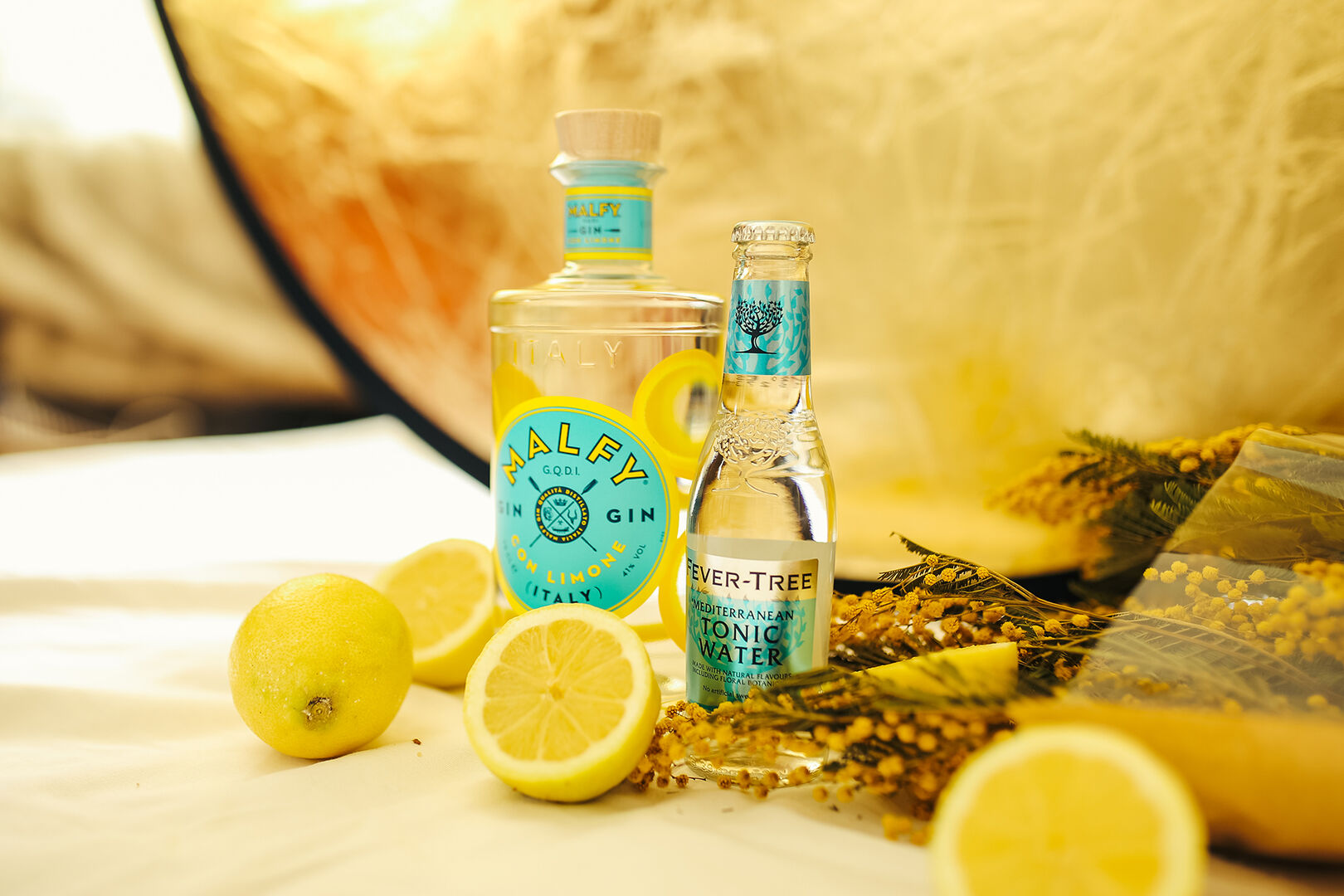 Gin und Tonic mit Zitrone