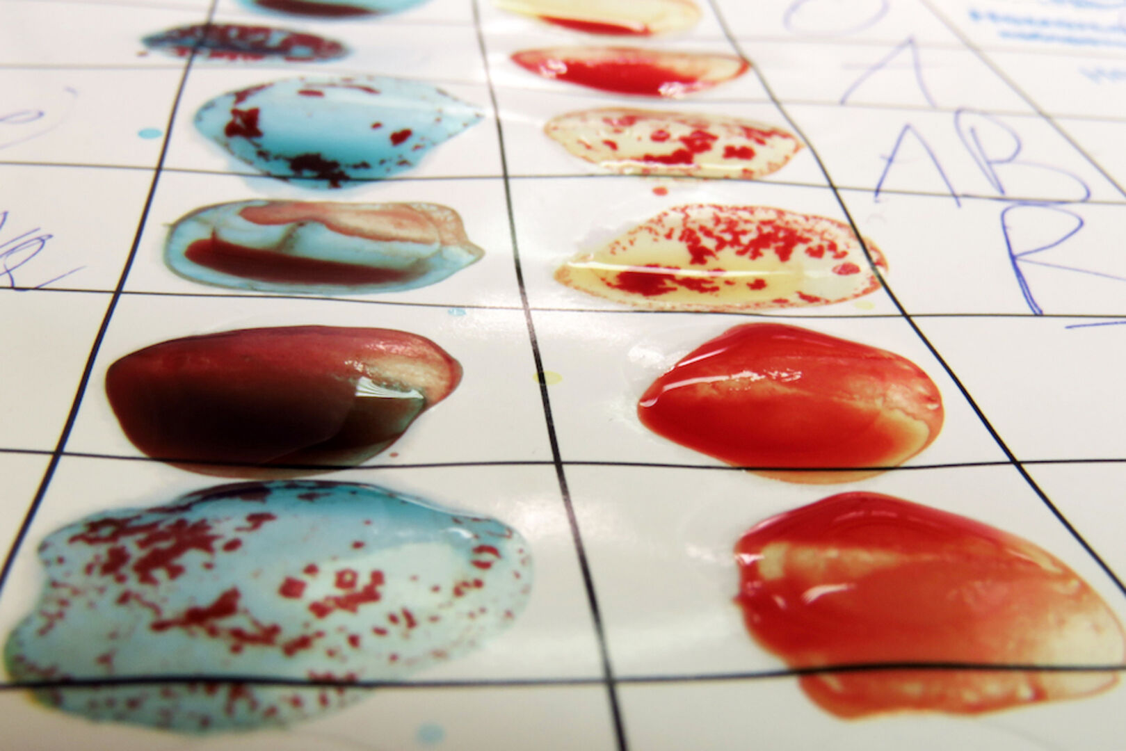 Bluttropfen auf einem Blatt Papier