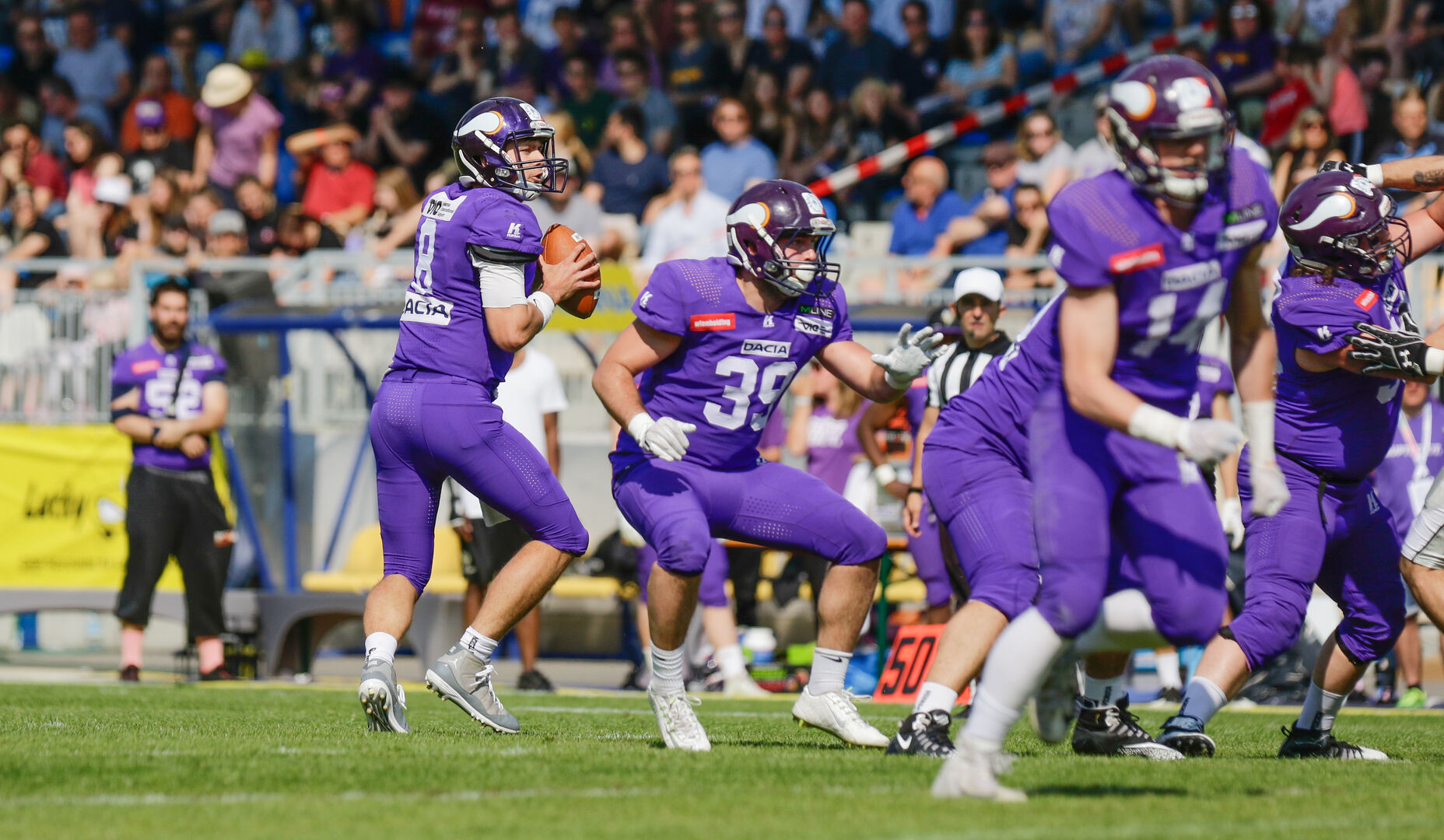 Die Dacia Viking spielen um die Meisterschaft