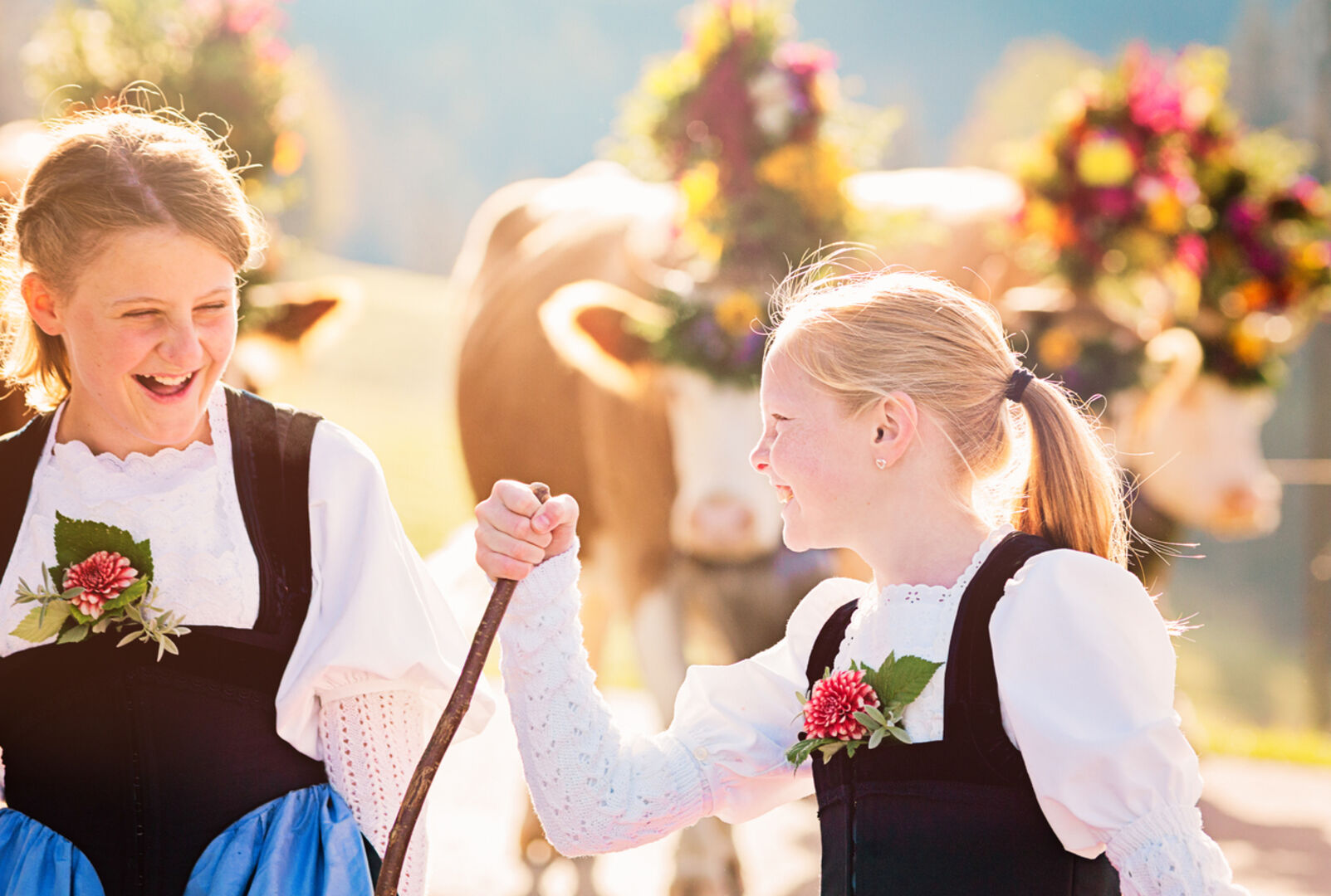 Kärtnerisch und Tirolerisch kommen besonders gut an
