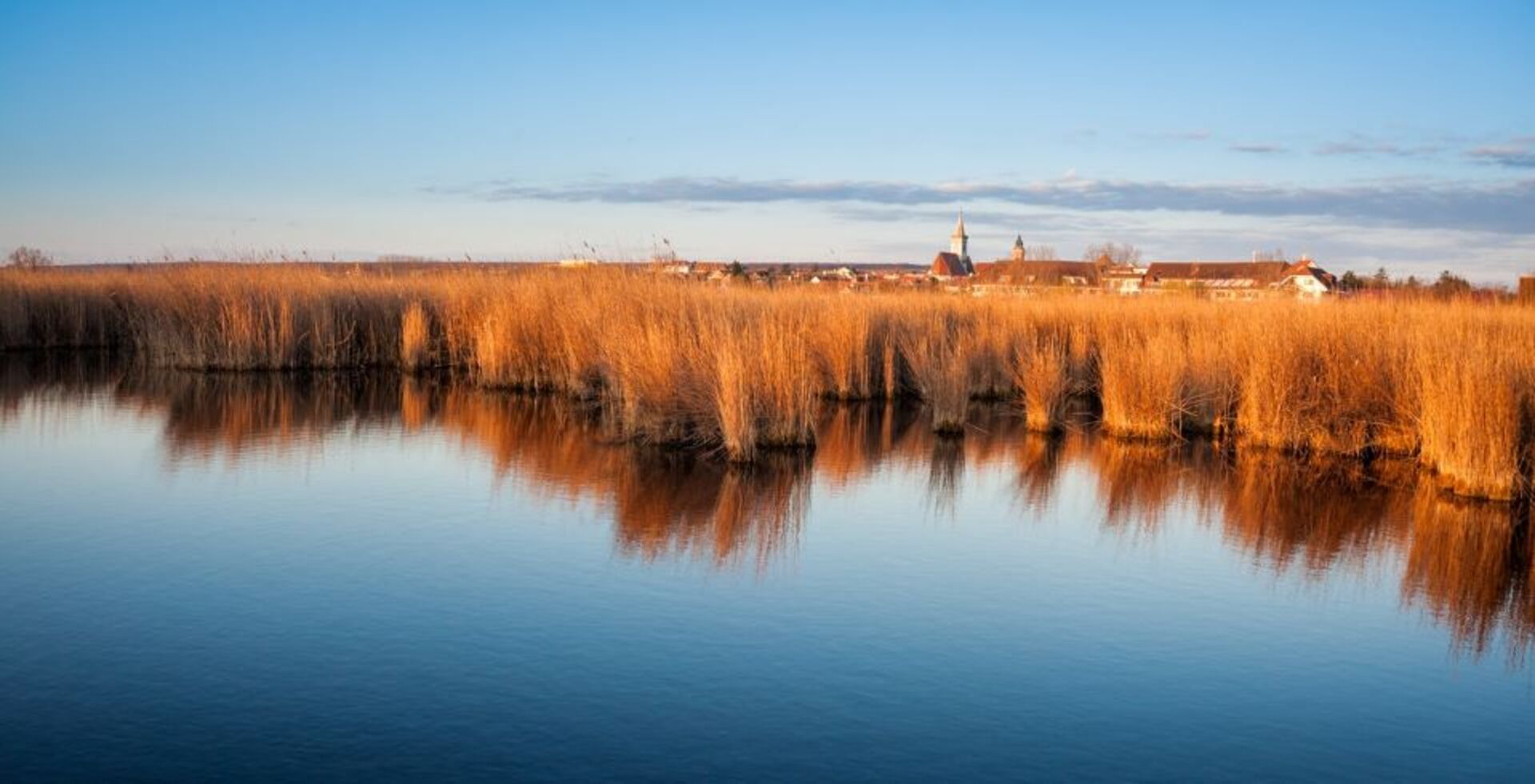 Schilfgürtel bei Rust am Neusiedler See | Credit: iStock.com/xeipe