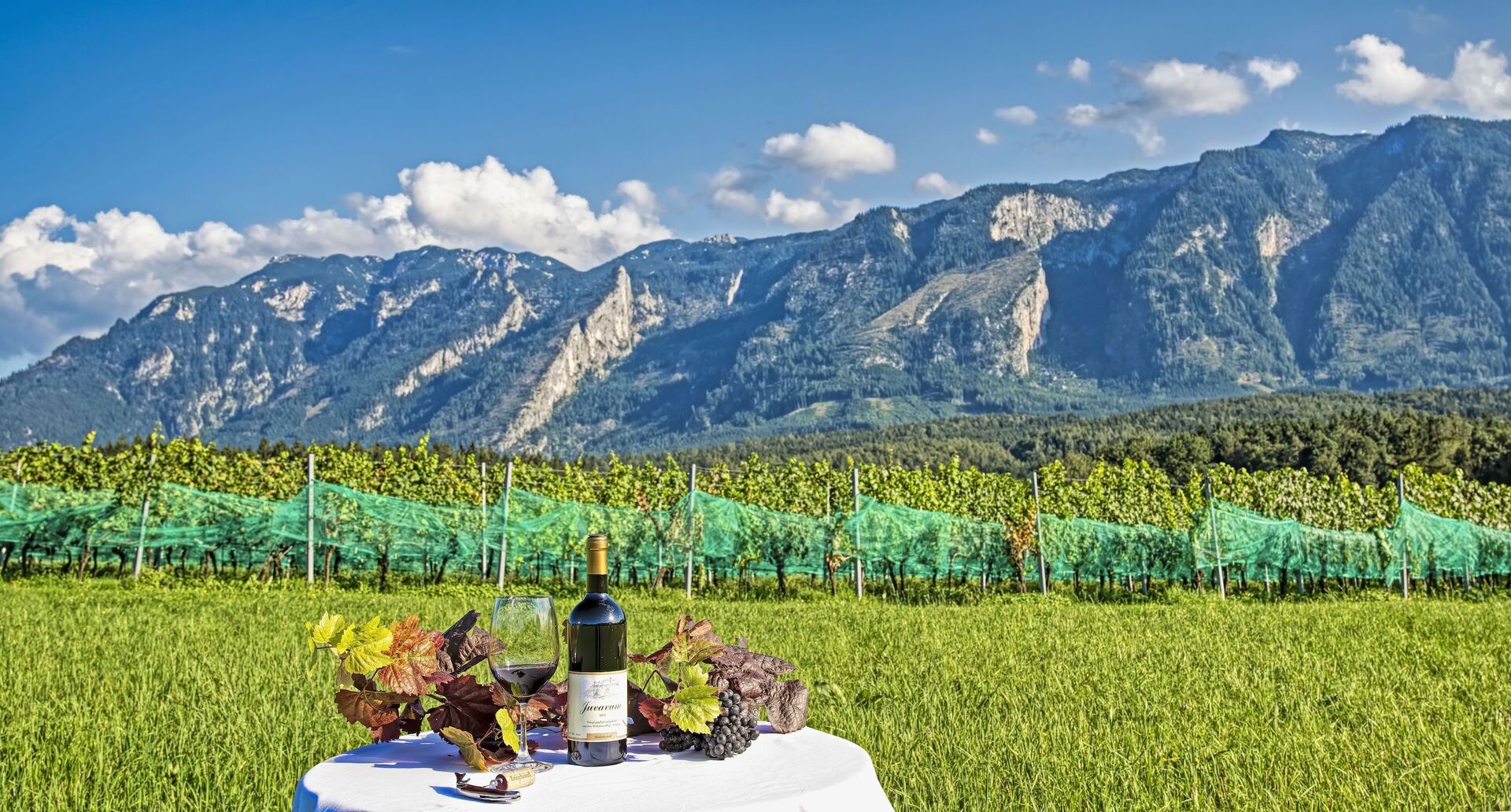 Weingut | Credit: Weingut Reiterhaindl