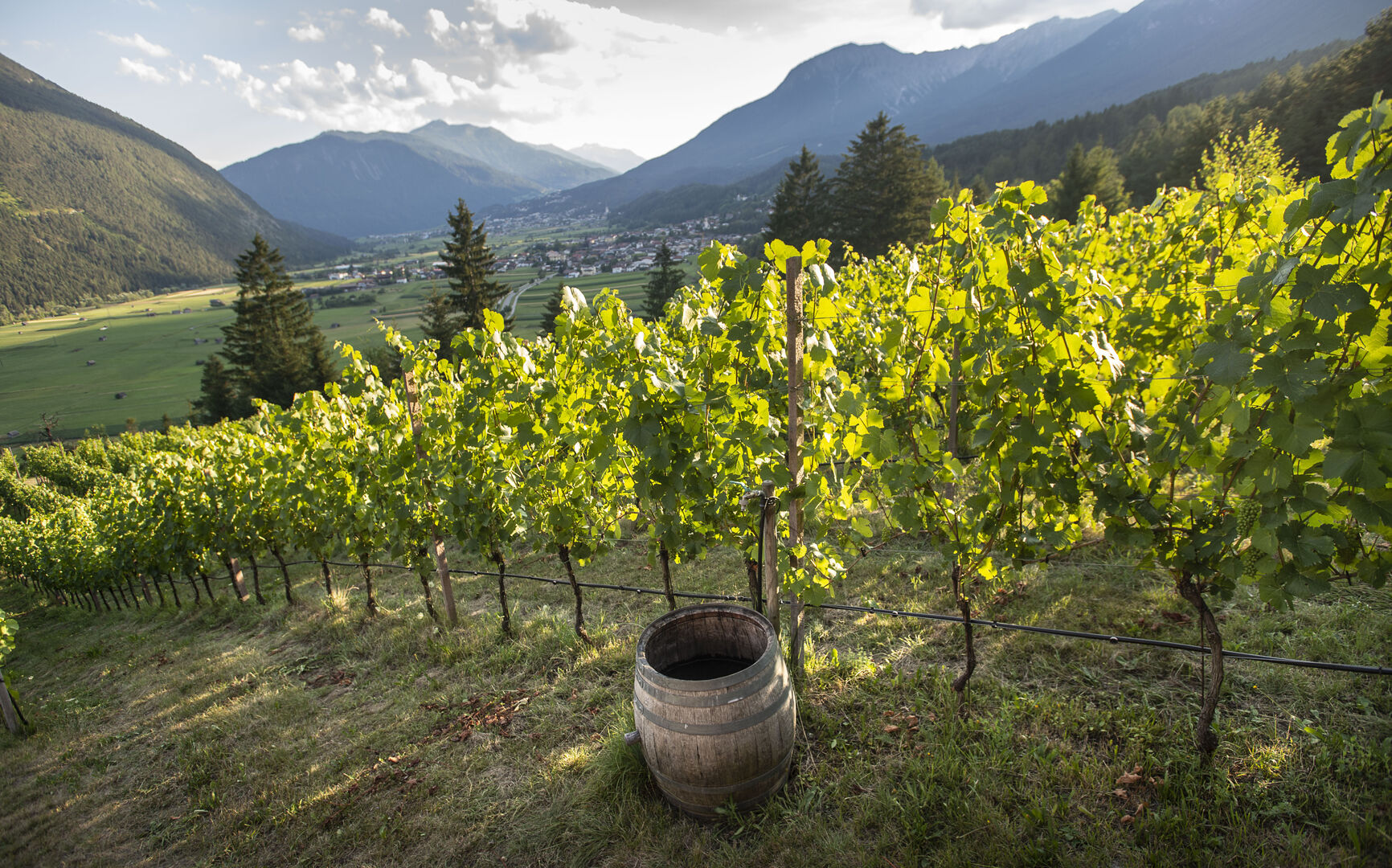 Weingut Flür in Tarrenz