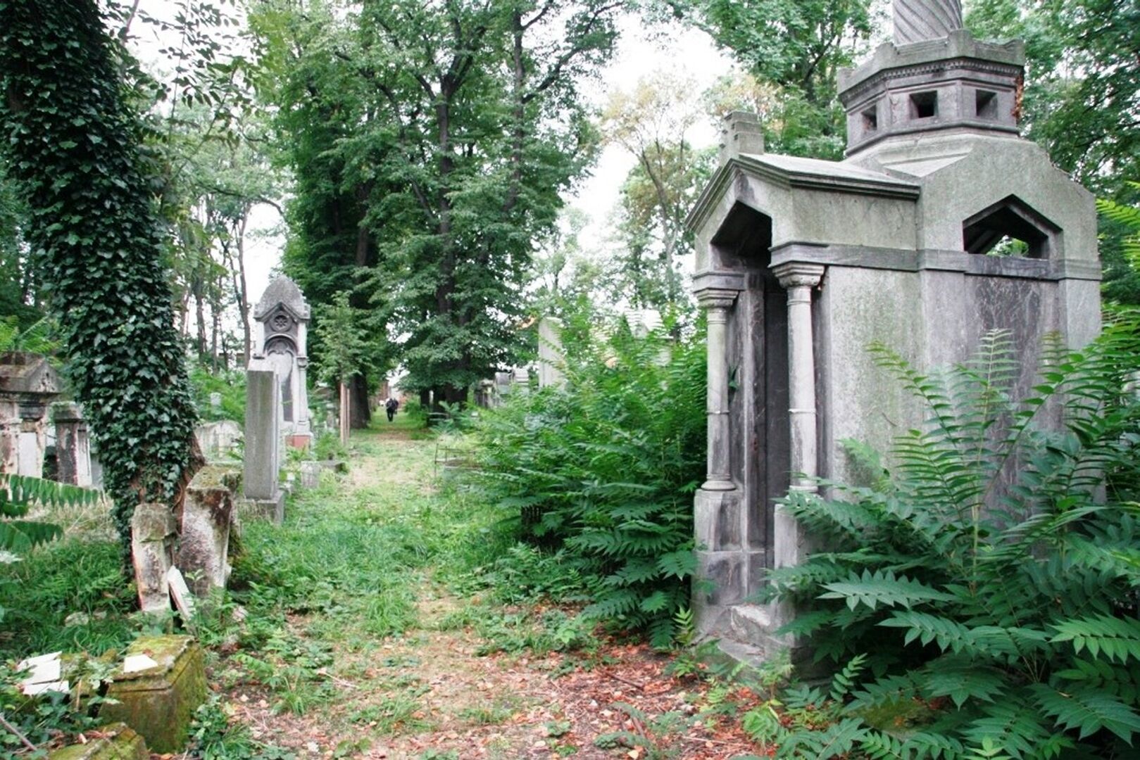 Der jüdische Friedhof in Wien-Währing