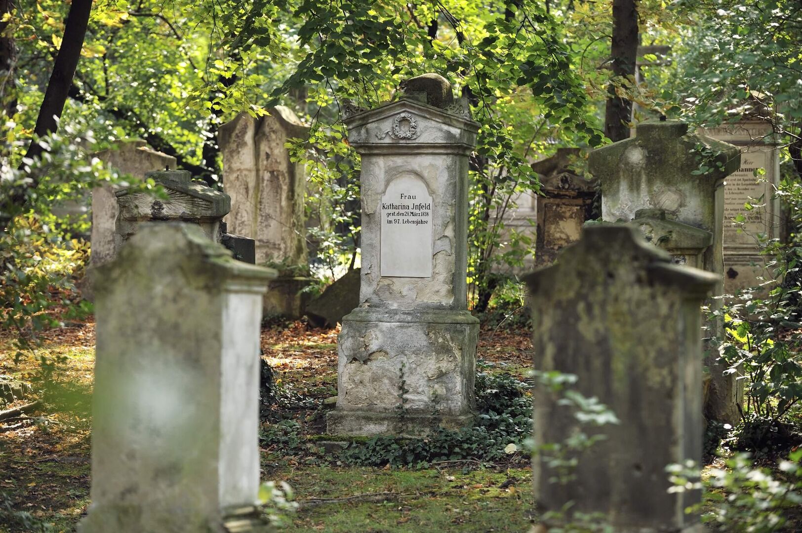 Grabsteine am Marxer Friedhof