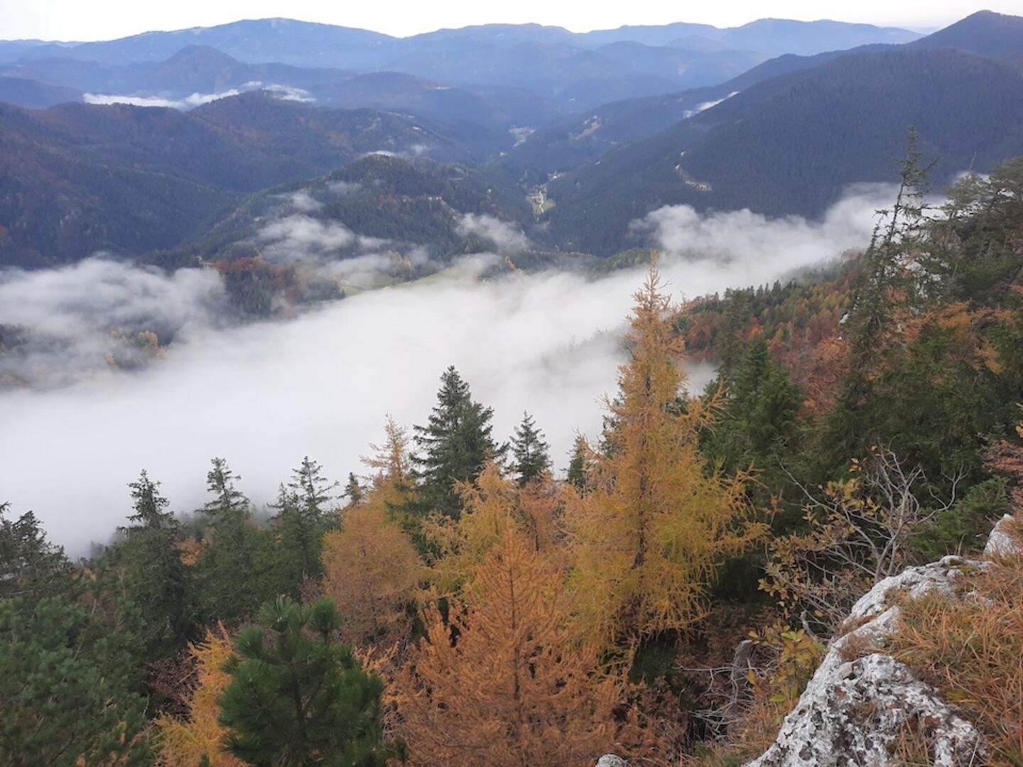 berg_natur_wandern_freizeit_puchperg_schneeberg