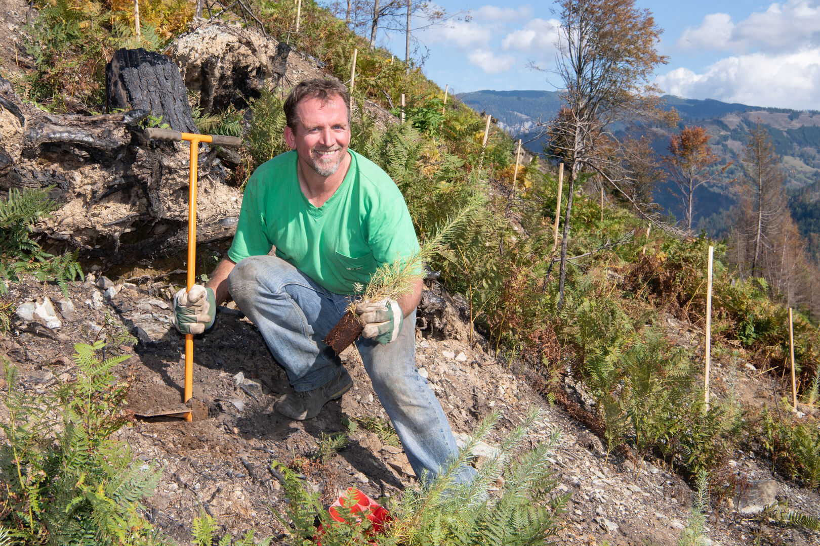 Forstarbeiter mit Setzling im Wald