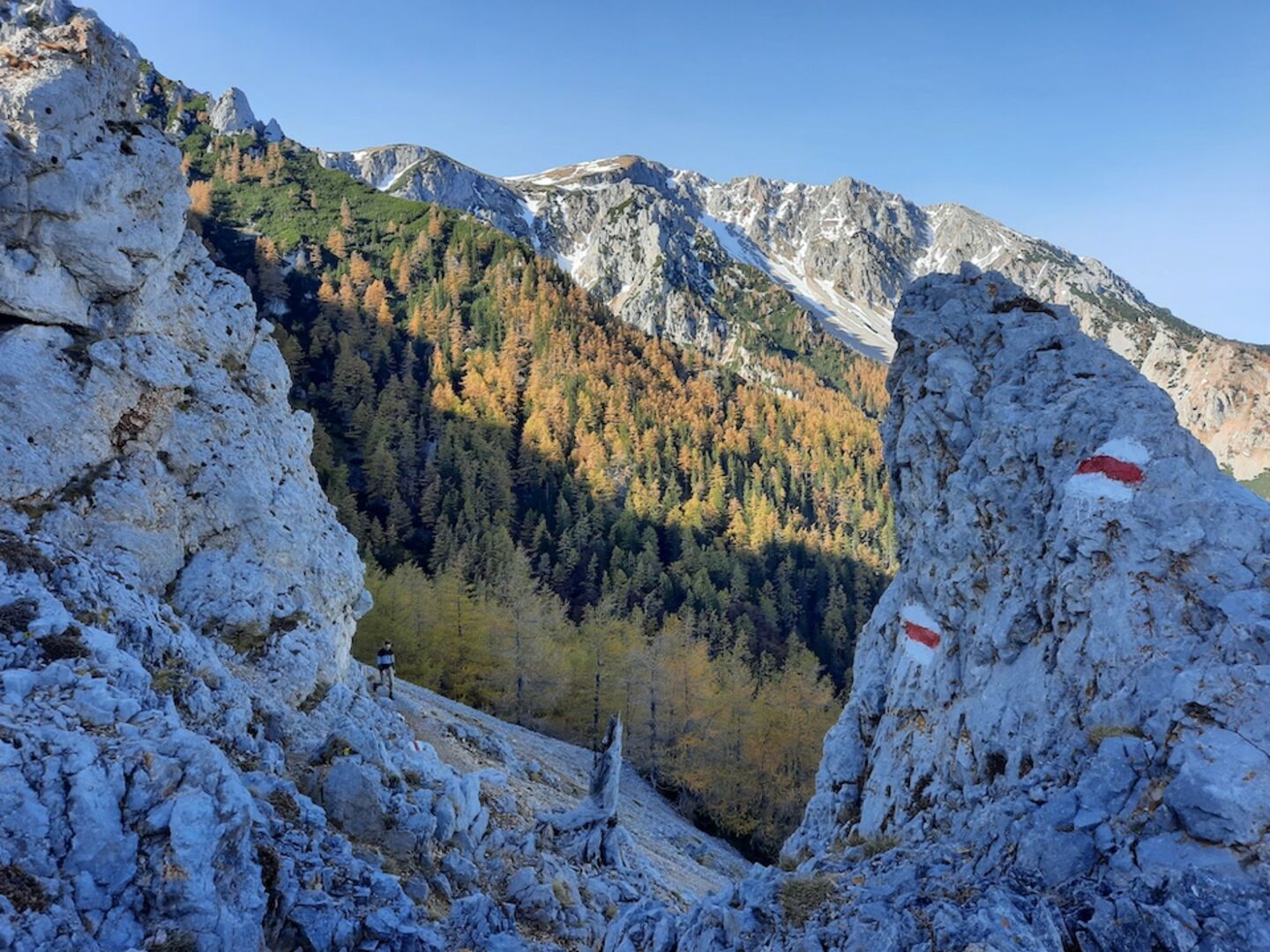 wandern_ausflug_berg_freizeit_natur_schneeberg