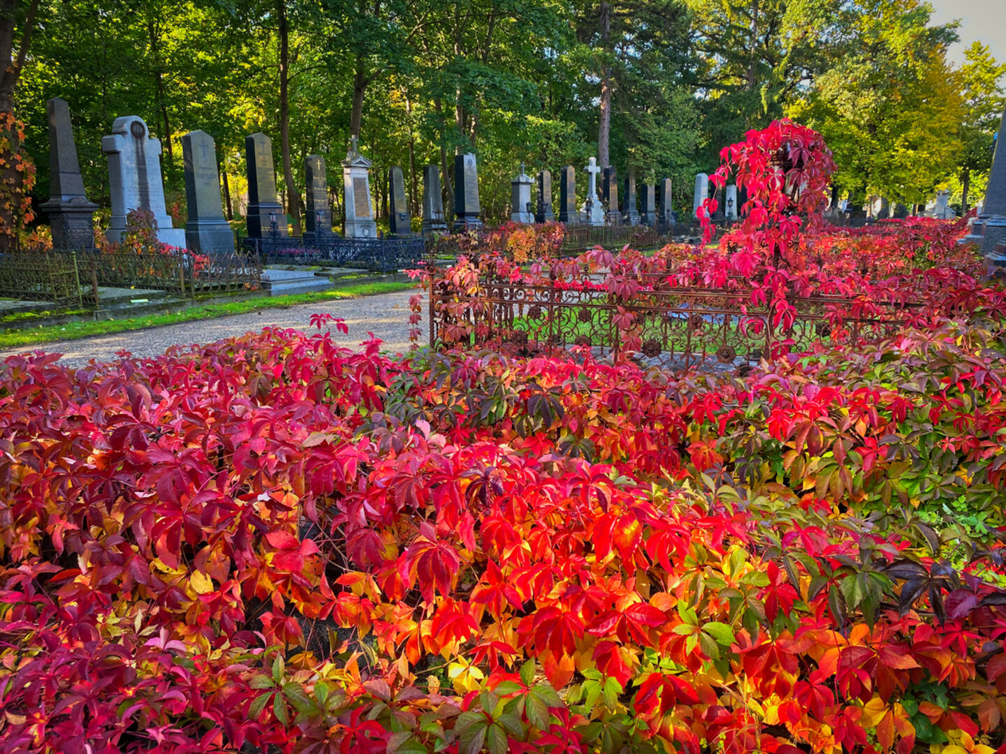Herbststimmung am Wiener Zentralfriedhof