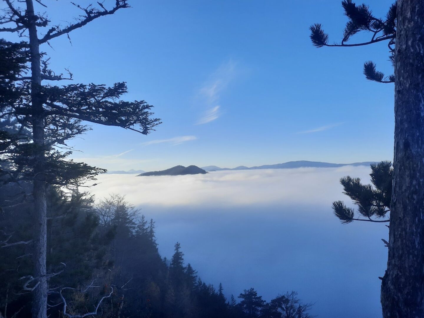 Hochnebel_Sonennschein