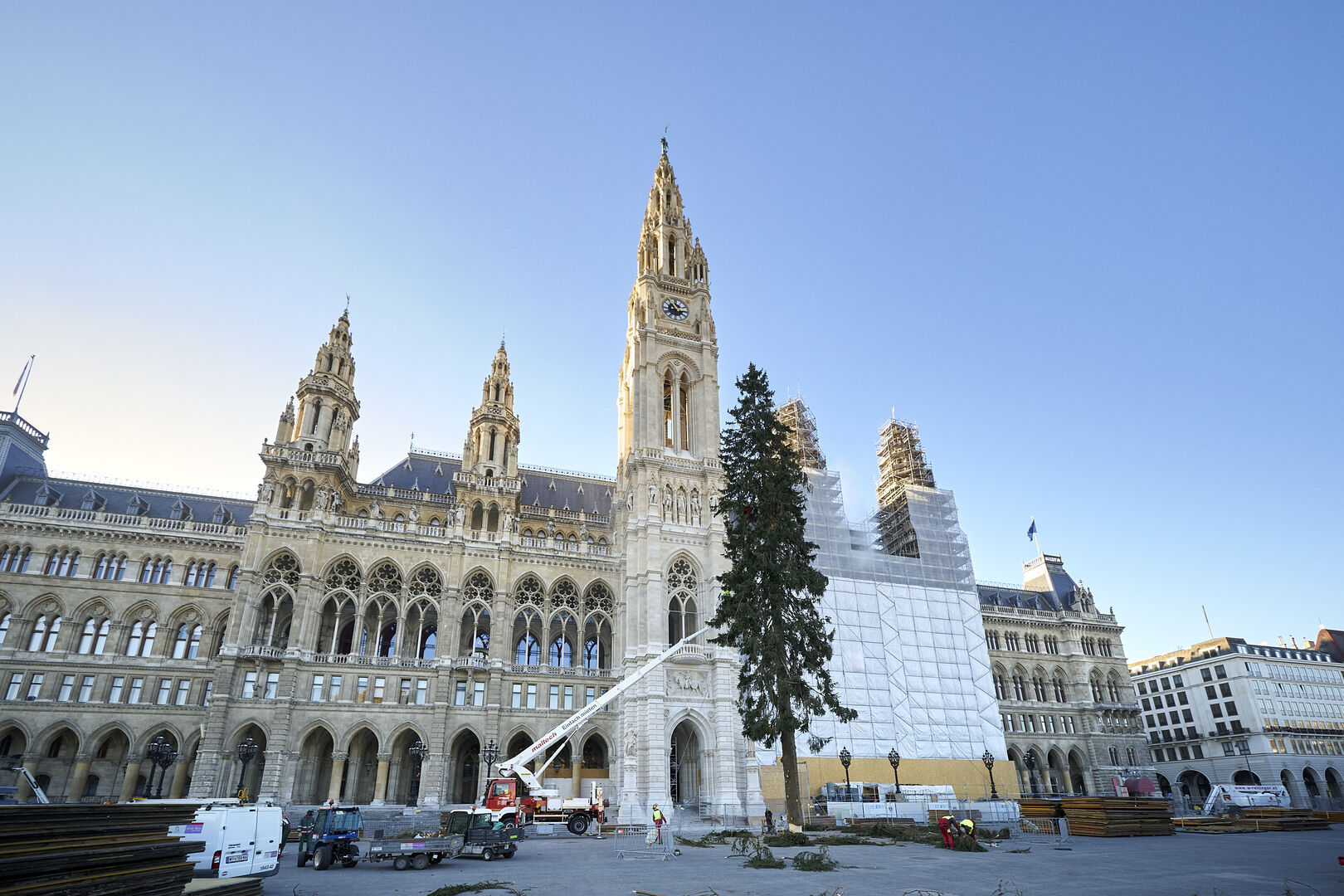 Der Wiener Weihnachtsbaum wird am Rathausplatz aufgestellt