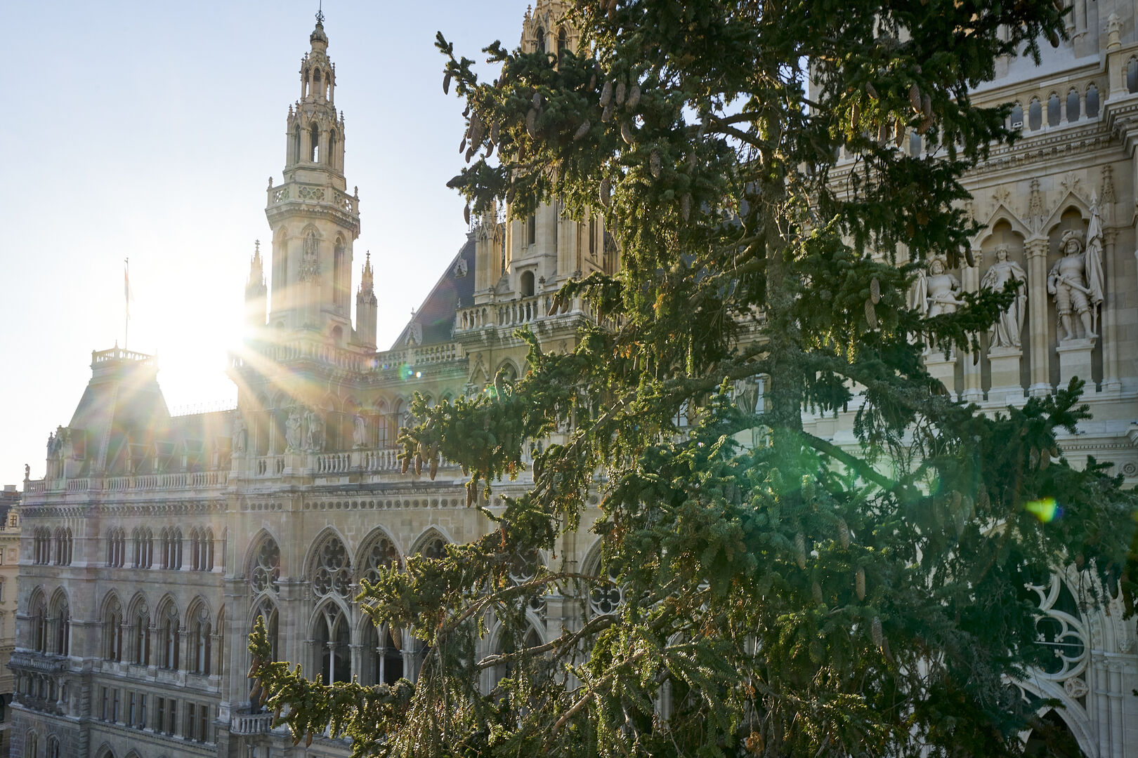 Aufstellung des Weihnachtsbaumes am Rathausplatz_3