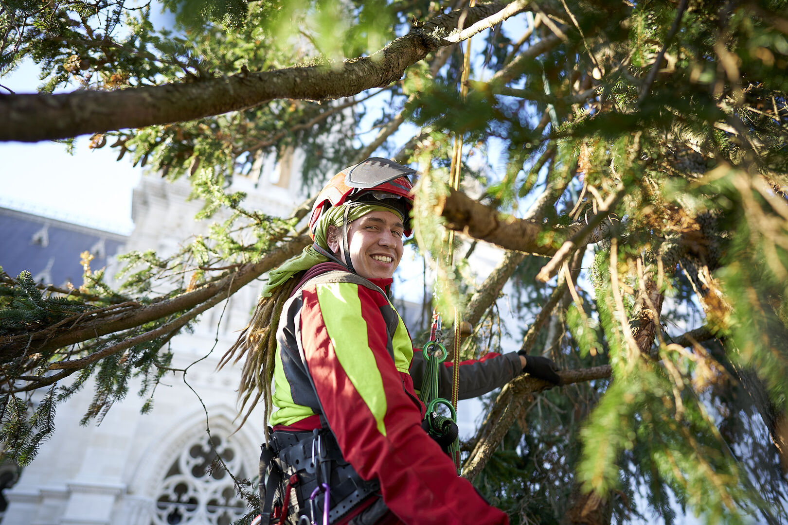 Der Wiener Weihnachtsbaum wird geschmückt_2