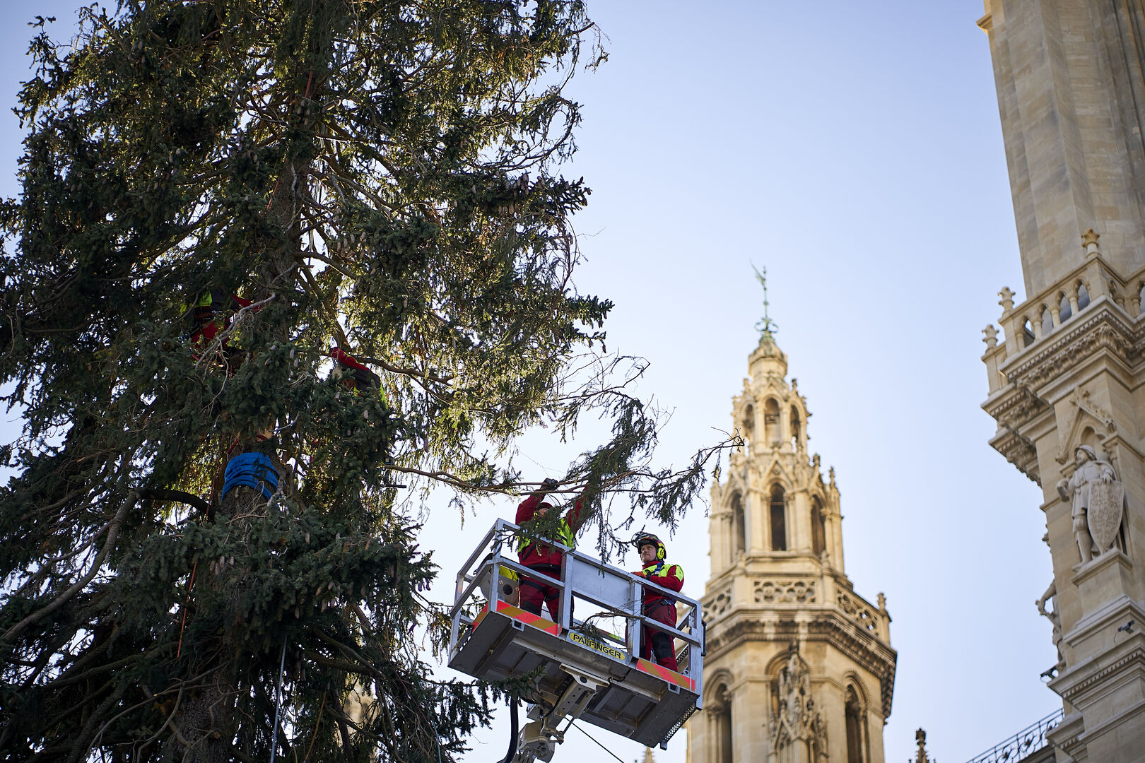 Der Wiener Weihnachtsbaum wird geschmückt_3