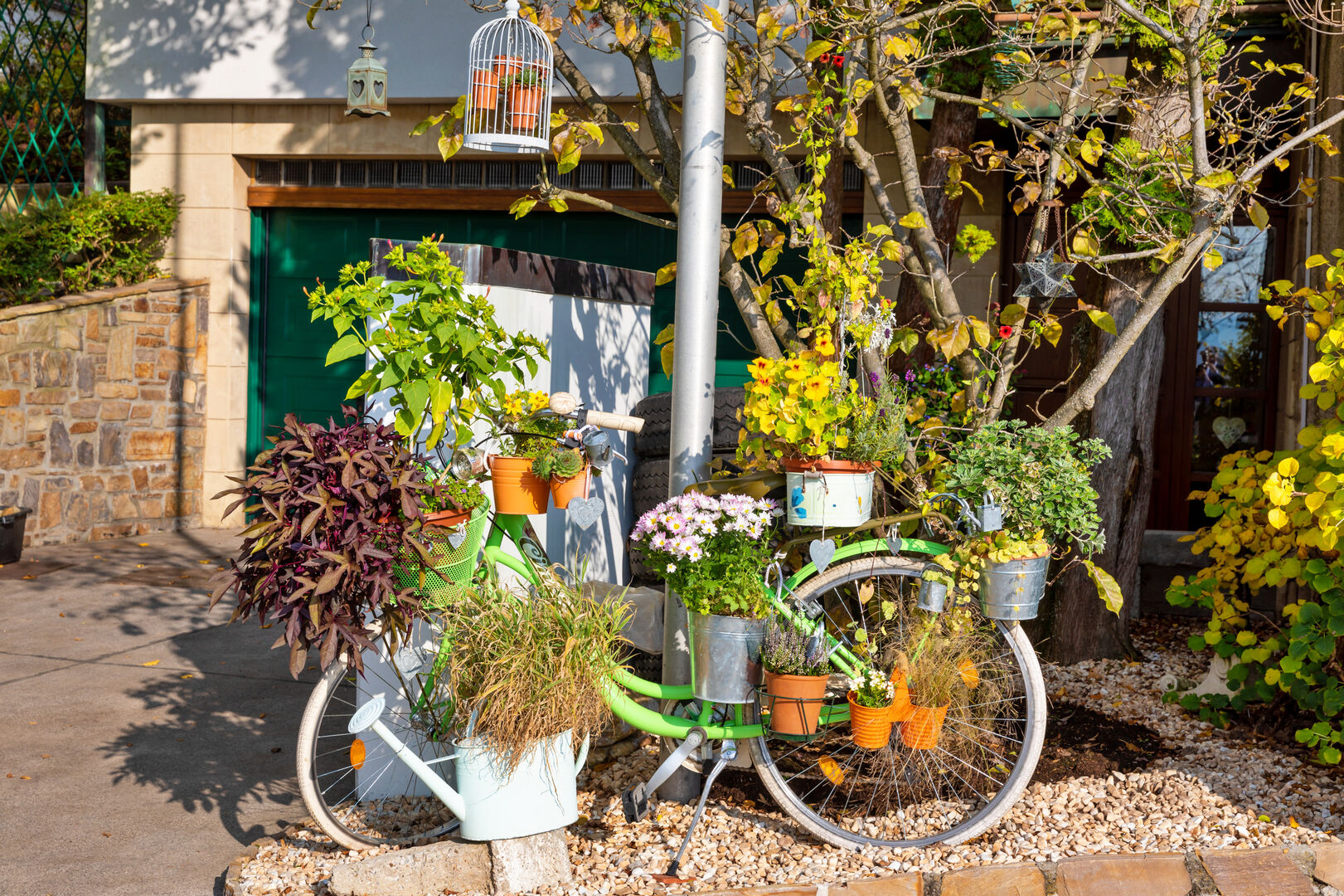 Buntes Fahhrad mit grünen Pflanzen