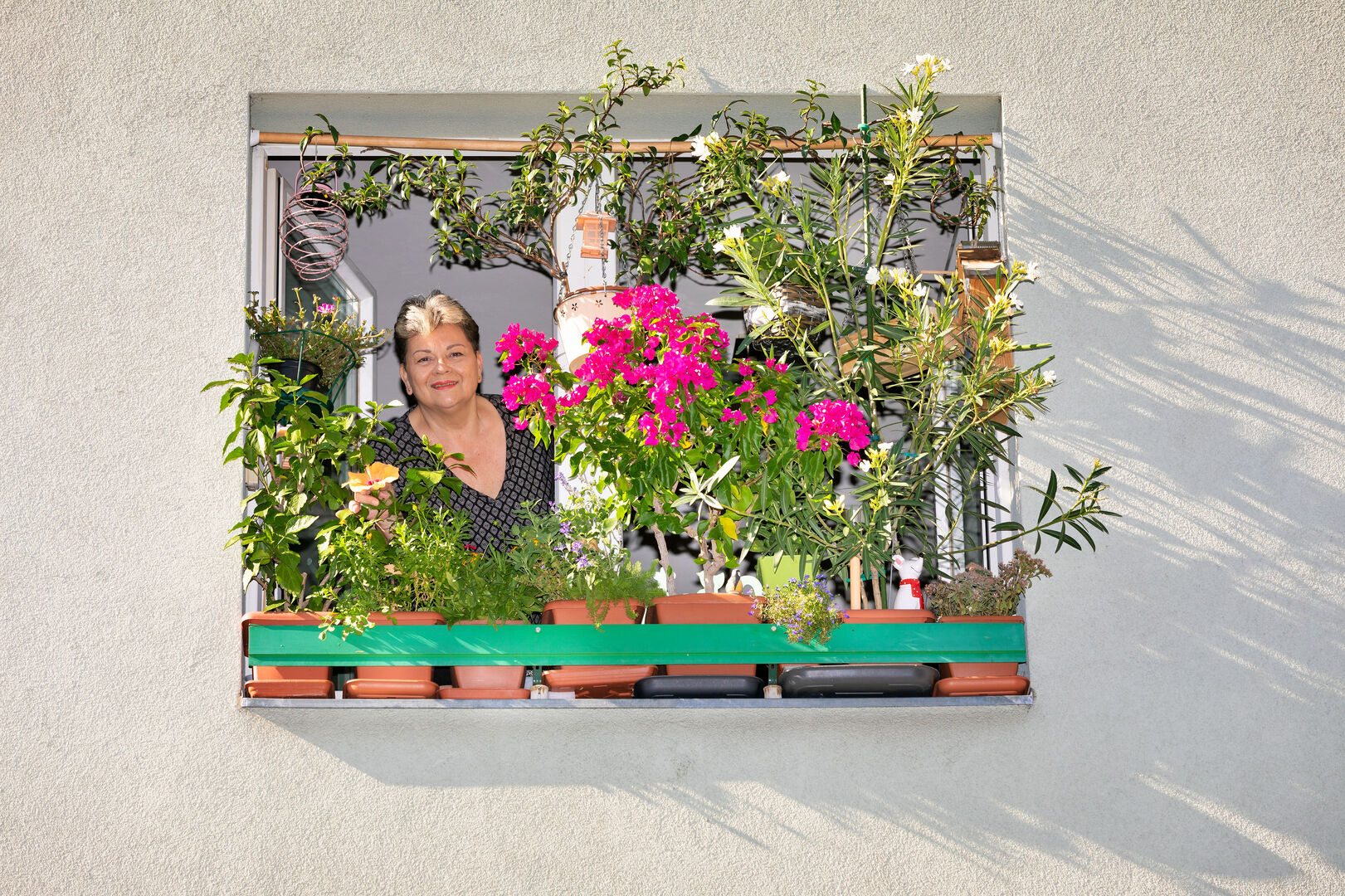 Blühendes Zuhause mit Blumenkisterl