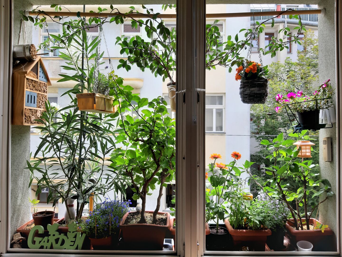 Kategoriepreis: Schönstes Blumenkisterl